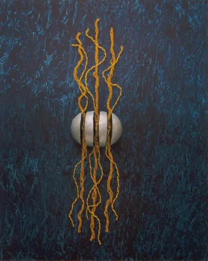 La Speranza mette Radice · 1998 · 120x100x9 · Tecnica mista