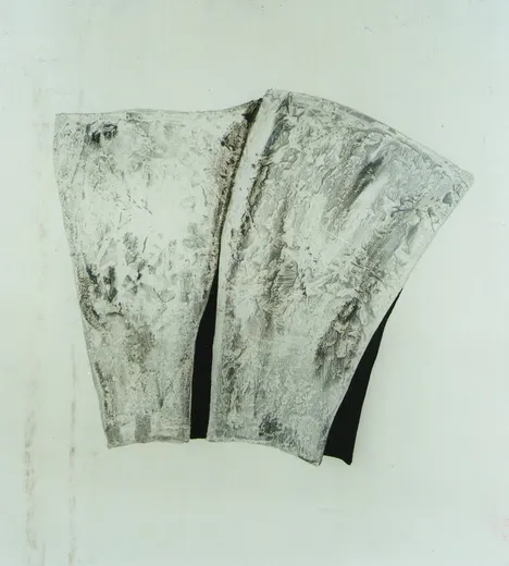 Involucro · 2016 · Olio su tela